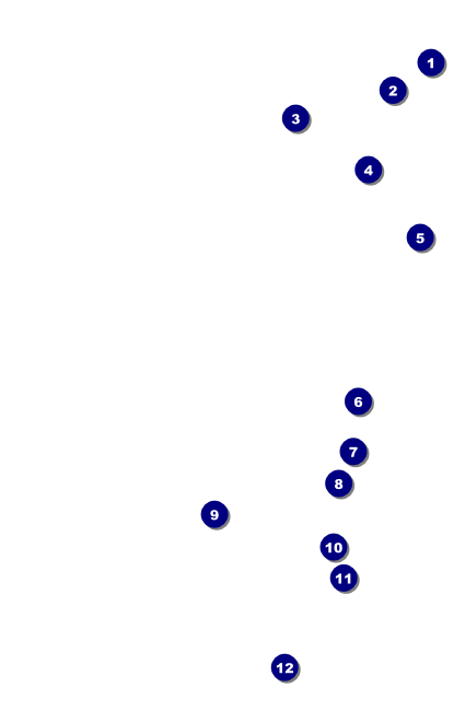Dance Silhouette Drink Ticket Front Field Markers