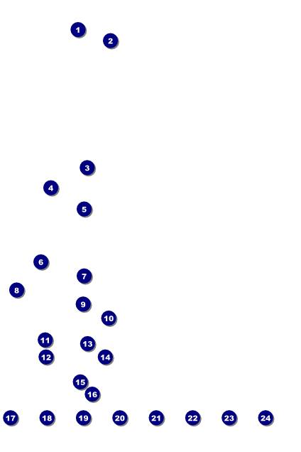 Mexican Fiesta Logo Poster Front Field Markers