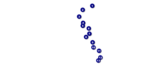 Triathlon VIP Pass Front Field Markers