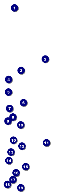 Bridal Event Ticket Front Field Markers