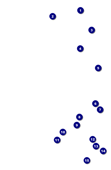 World Food Festival Drink Ticket Front Field Markers