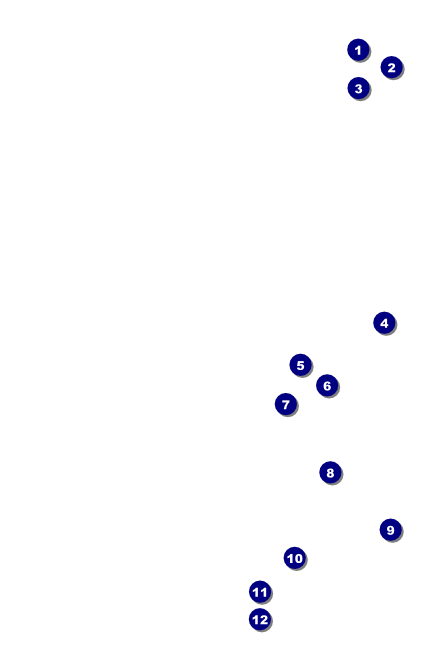 Chinese New Year Horse Drink Ticket Front Field Markers