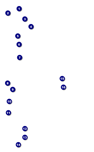 Rainbow Drink Ticket Front Field Markers