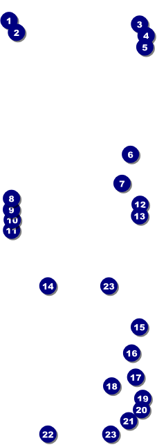 Anime Event Ticket Front Field Markers
