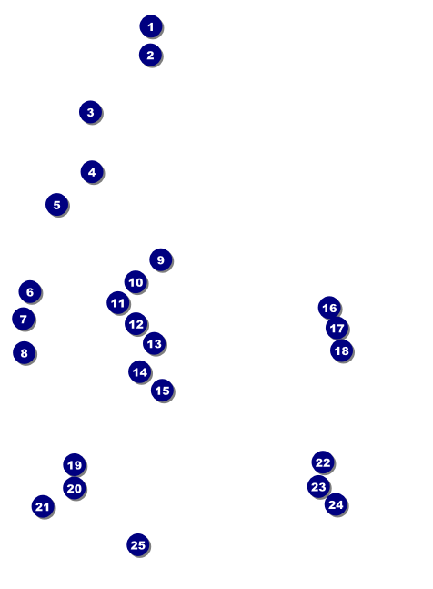 Dodgeball Invitation Front Field Markers