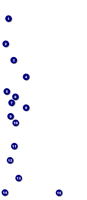 German VIP Pass Front Field Markers