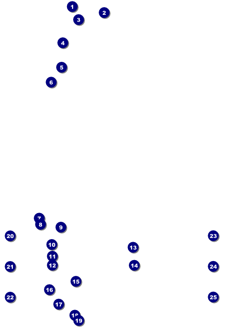 Army Logo Flyer Front Field Markers