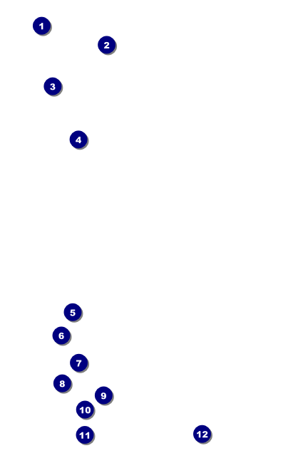 Swim Camp Drink Ticket Front Field Markers