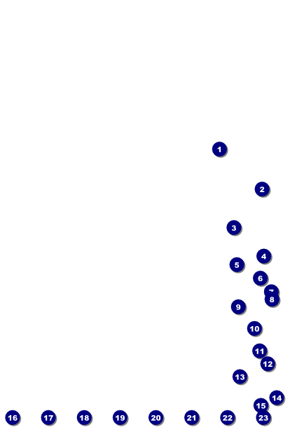 Spanish Festival Logo Poster Front Field Markers