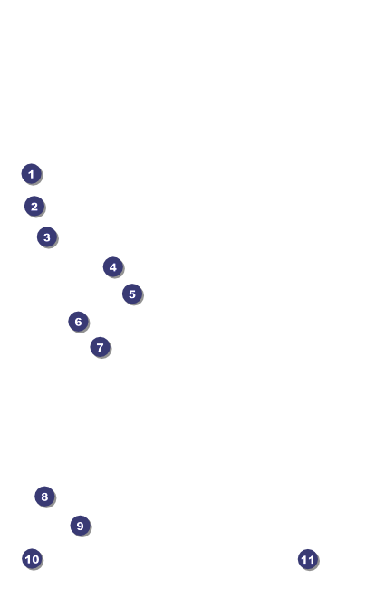 Sydney Drink Ticket (Pink) Front Field Markers