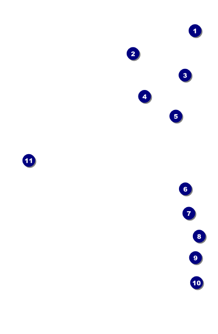 Red and Silver VIP Event Badge Small Front Field Markers