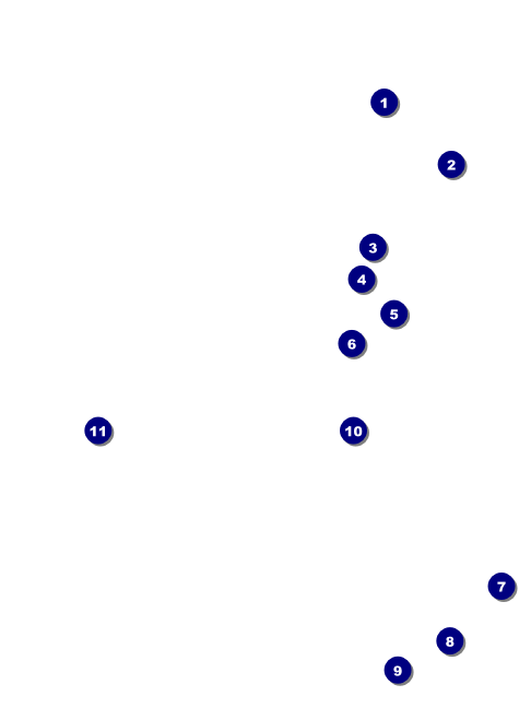Dinosaur Illustrated Economy Event Badge Front Field Markers