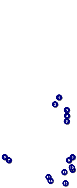 Diabetes Table Tent Front Field Markers