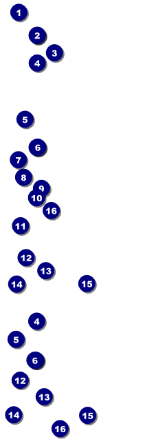 Carnival Reserve Event Ticket Front Field Markers