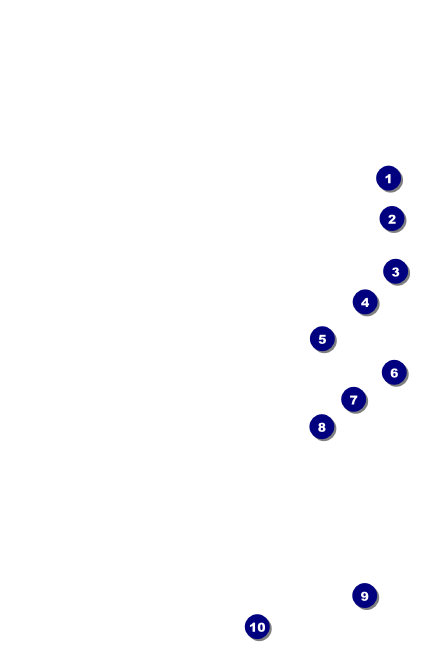 Pumpkin Patch Drink Ticket Front Field Markers