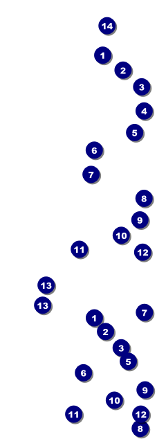 Holiday Snowflake Reserved Event Ticket Front Field Markers