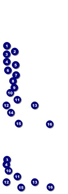 Alaska Reserved Event Ticket Front Field Markers