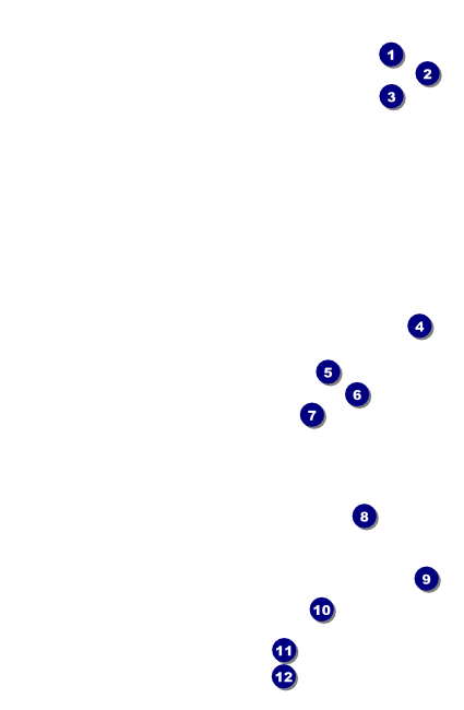 Chinese New Year Monkey Drink Ticket Front Field Markers