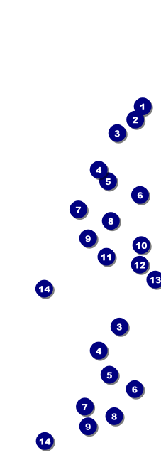 Chinese New Year Monkey Event Ticket Front Field Markers
