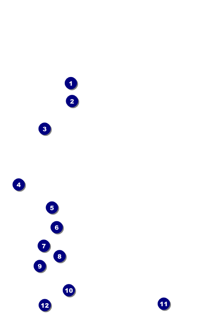Fall Leaves Drink Ticket Front Field Markers