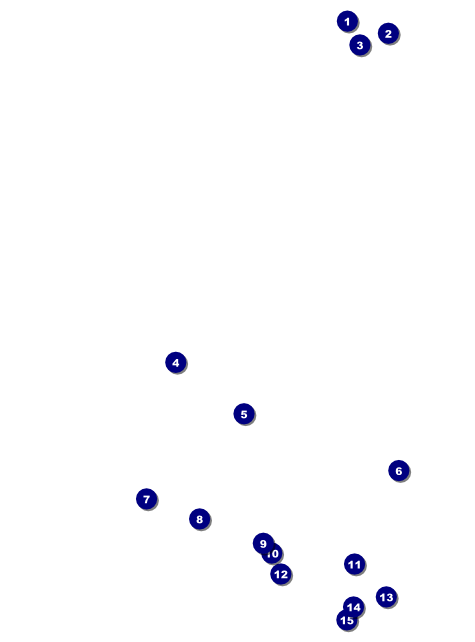 Chinese New Year Rooster Flyer Front Field Markers