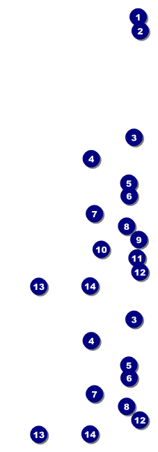 Chinese New Year Pig Event Ticket Front Field Markers