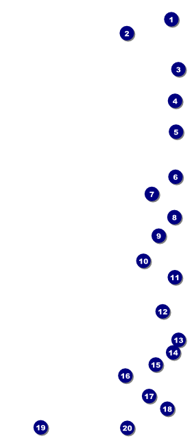 Dart Tournament VIP Pass Front Field Markers