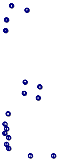 Freestyle VIP Pass Front Field Markers