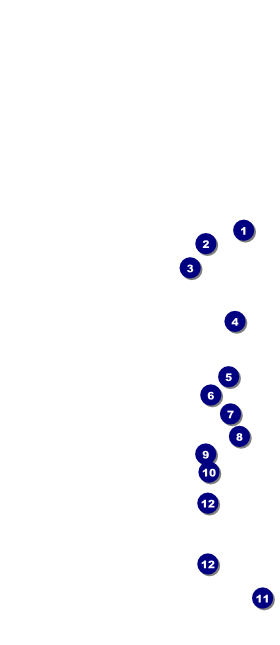 Hollywood Skyline Hang Tag Front Field Markers