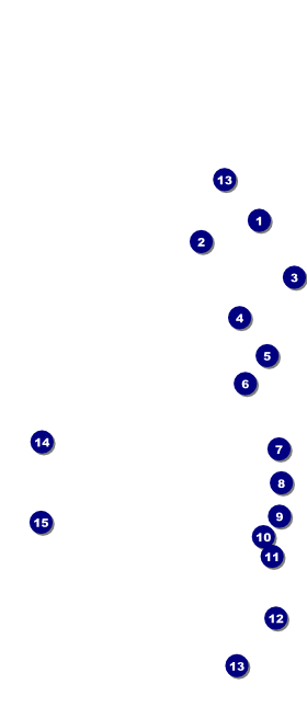 St. Patrick's Day Shamrock Hang Tag Front Field Markers