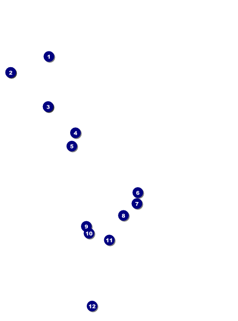 Whimsical Paris Flyer Front Field Markers