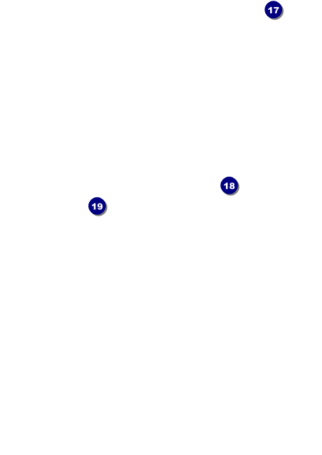 Wizard of OZ Postcard Mailer Back Field Markers