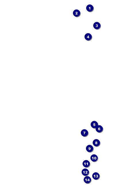 Spanish Flag Postcard Mailer Front Field Markers