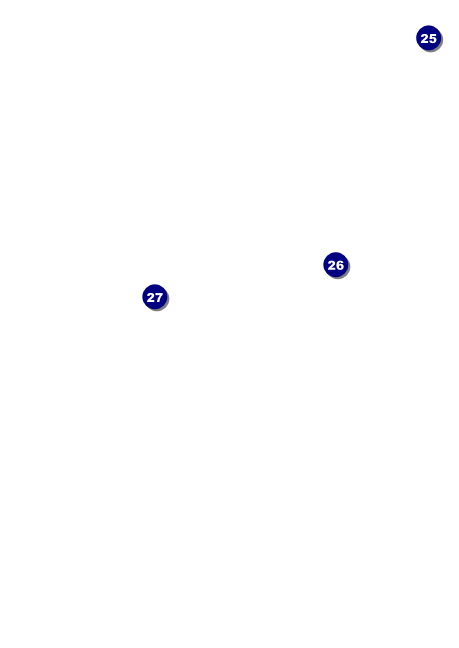 Dodgeball  Postcard Mailer Back Field Markers