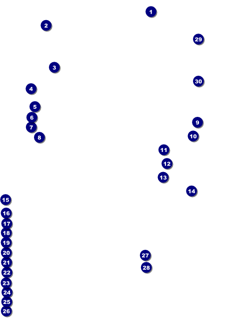 Circle Gala Flyer Front Field Markers