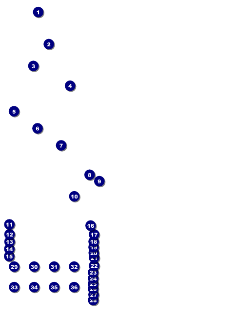 Champagne Lights Flyer Front Field Markers