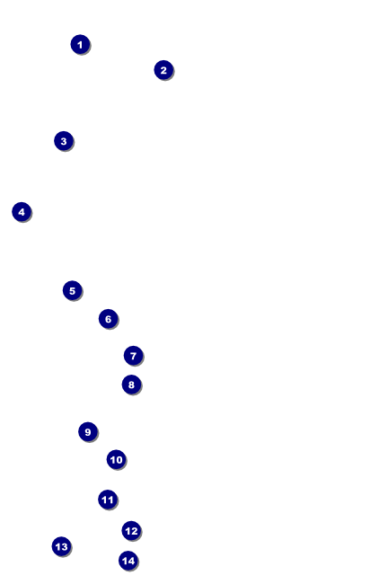 Palm Tree Poster Front Field Markers