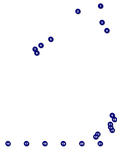 Martin Luther King Jr. Image Flyer Front Field Markers