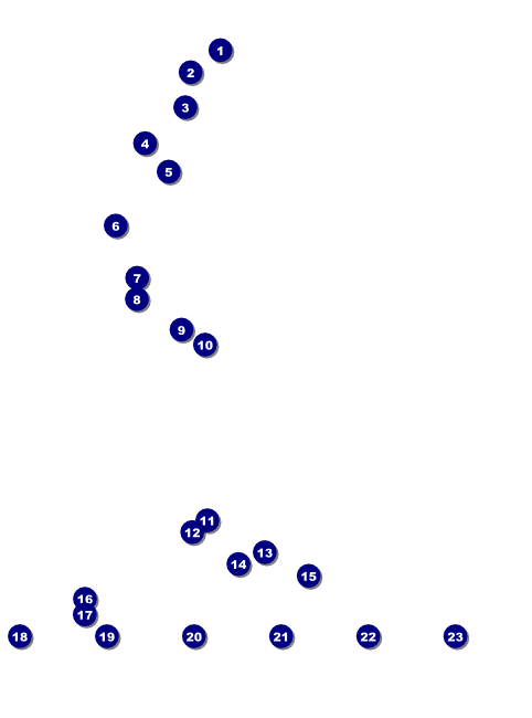 Tampa Bay Flyer Front Field Markers