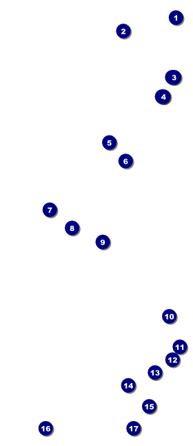 Rugby Tournament 2 VIP Pass Front Field Markers