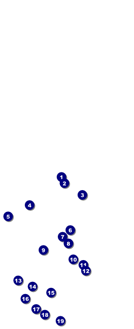 Nature Series - Green Leaves Table Tent Front Field Markers