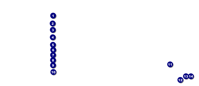 St Patrick's Day Colored VIP Pass Front Field Markers