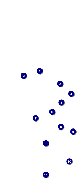 Reggae Hang Tag Front Field Markers