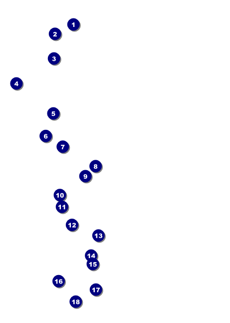 Graduation - Blue and Yellow Club Flyer Front Field Markers