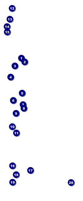 Valentine's Dinner Date  VIP Pass Front Field Markers