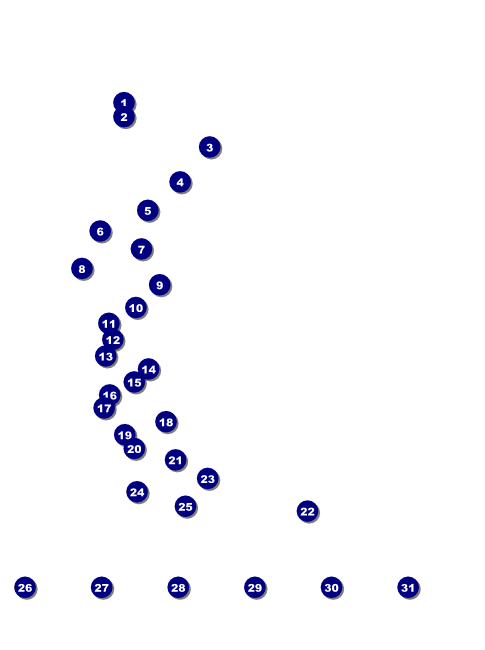 Aloha Flyer with Image Upload Front Field Markers