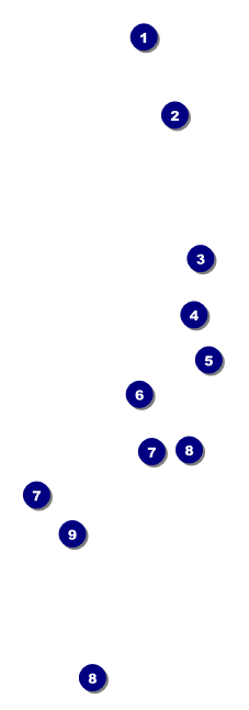 Food Festival QR Event Ticket Front Field Markers