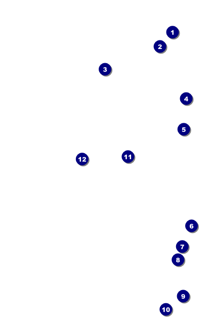 Abstract Lights VIP Event Badge Medium V2 Front Field Markers
