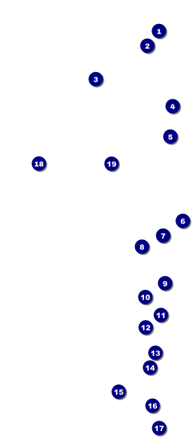Abstract Lights VIP Event Badge Large Front Field Markers