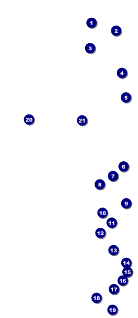 All Purpose Geometric VIP Event Badge Large Front Field Markers